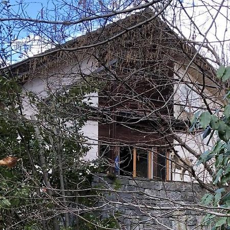 Gemuetliche Ferienwohnung Mit Garten Biasca Bagian luar foto